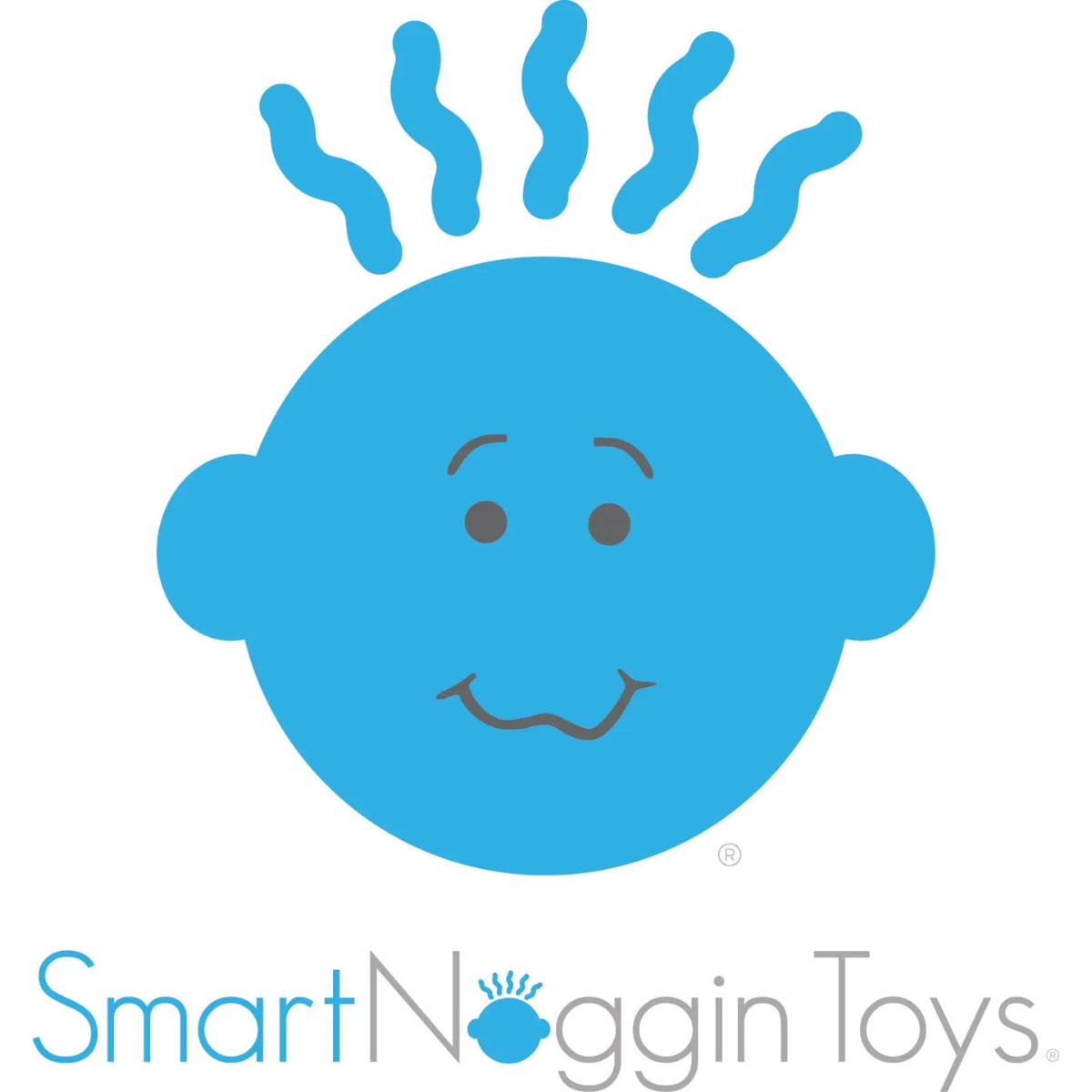 Smart Noggin Toys