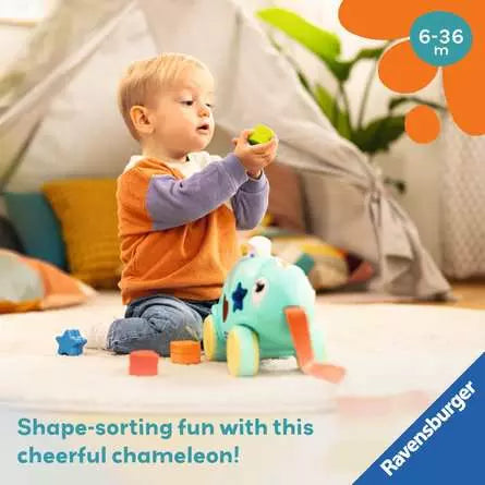 4-in-1 Colour and Shape Sorter Chameleon