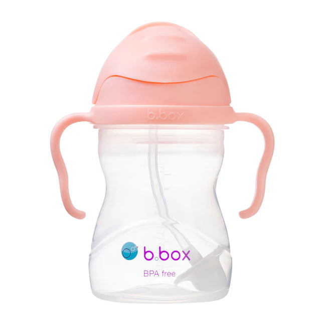 sippy cup