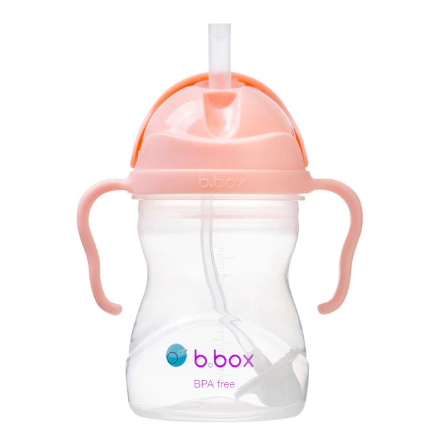 sippy cup