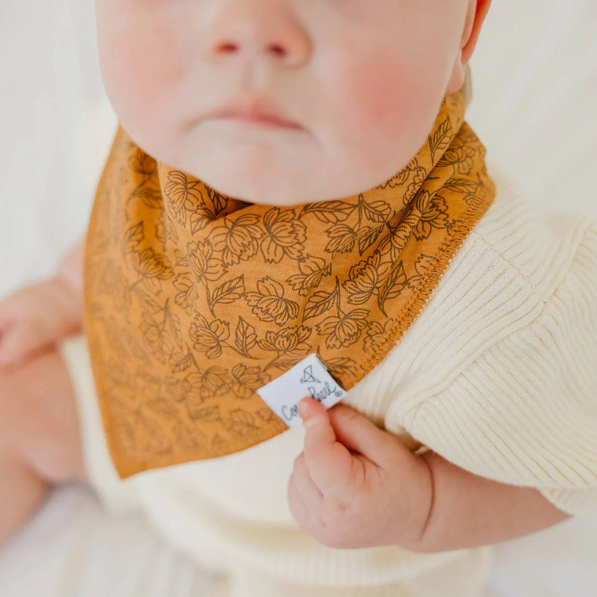 Eden Bandana Bib Set (4-Pack)