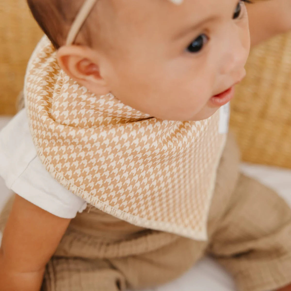 Eden Bandana Bib Set (4-Pack)