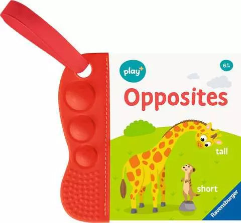 Flip and Pop Opposites