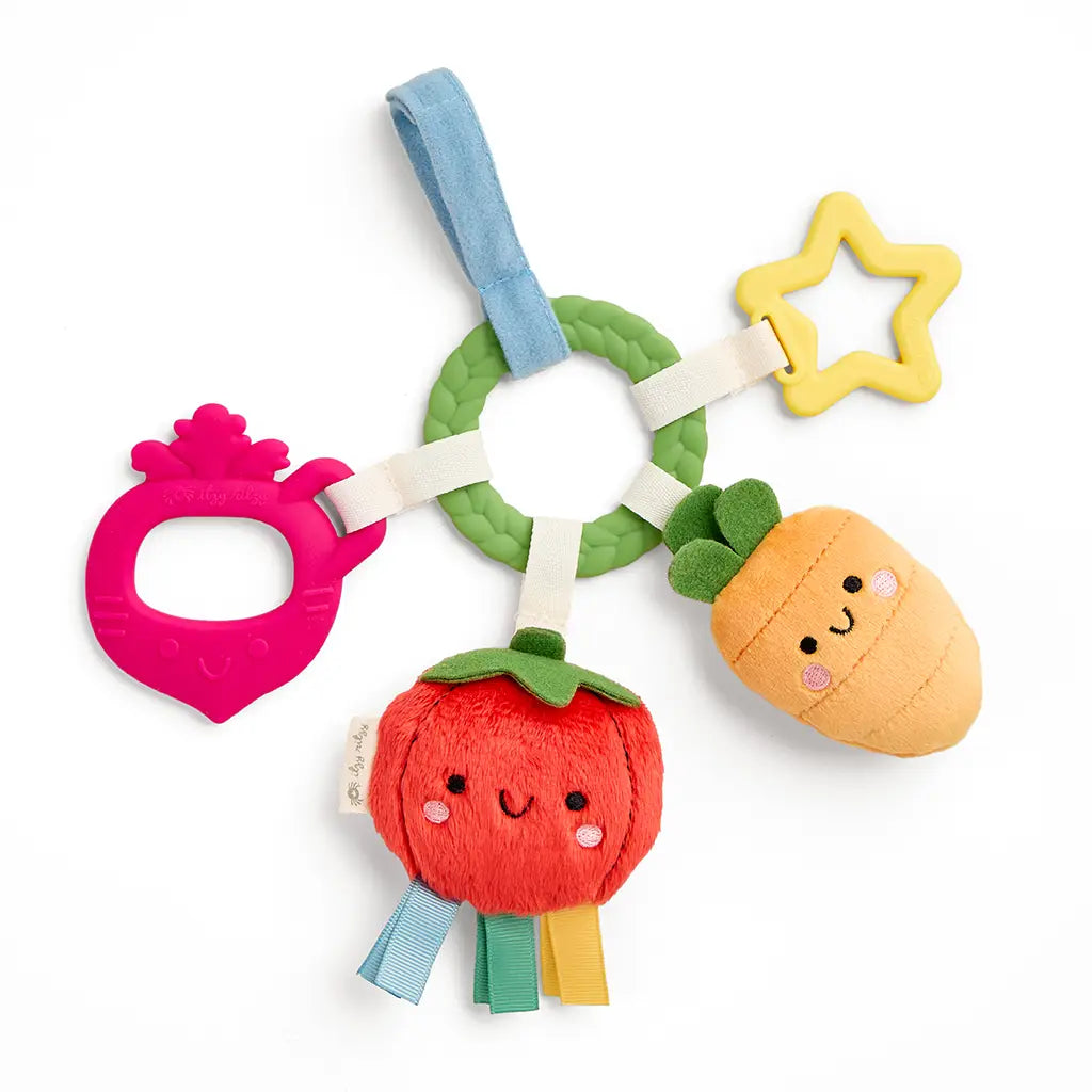 Bitzy Busy Ring Teething Activity Toy