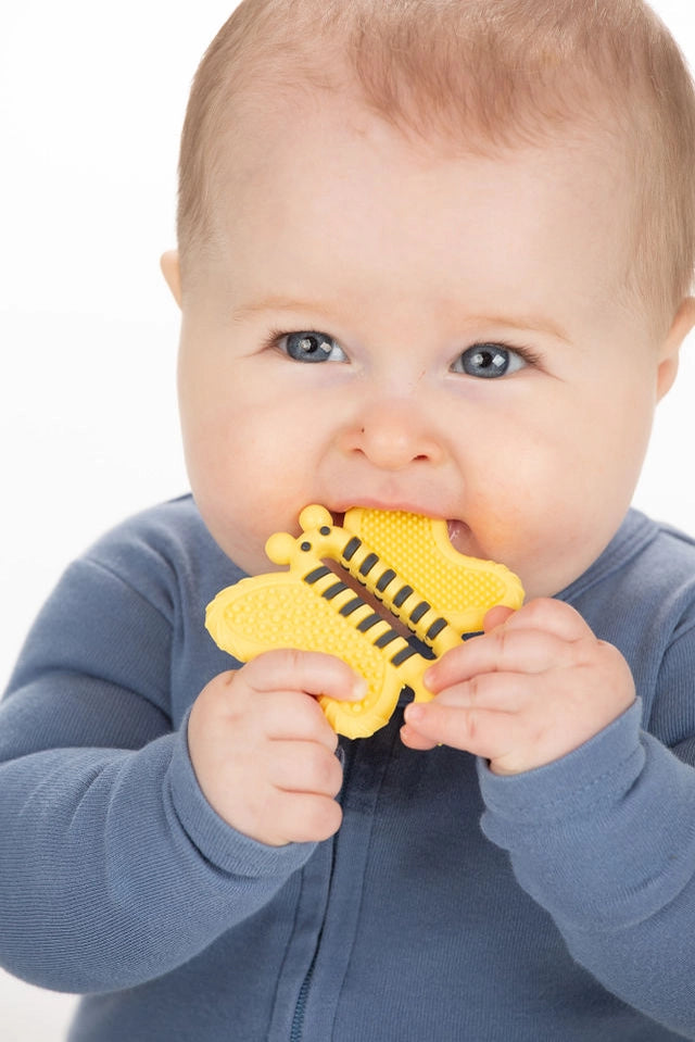Tooth Brush Teether - Bee Brush