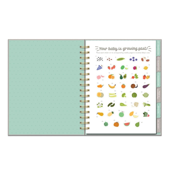 Countdown To Baby Undated Pregnancy Planner