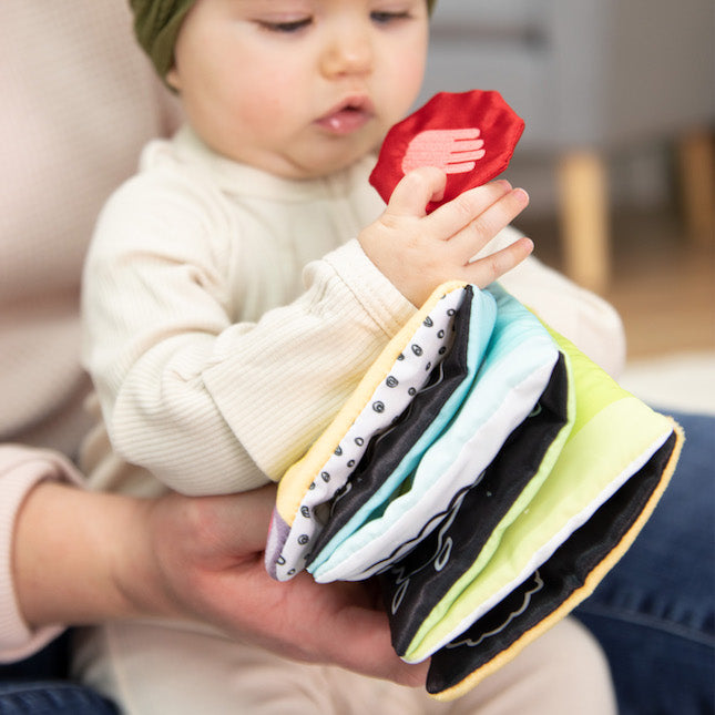 Lamaze Accordion Bus