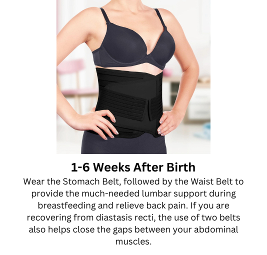 Revive 3-in-1 Postpartum Recovery Support Belt