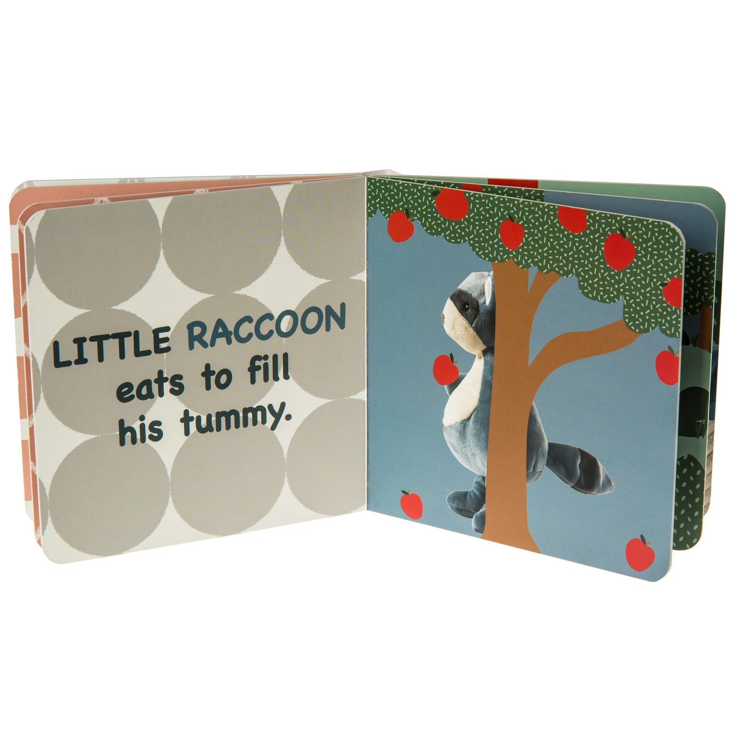 Leika Little Raccoon Board Book