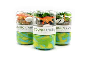 Dinosaur Grab & Go Dough Jar