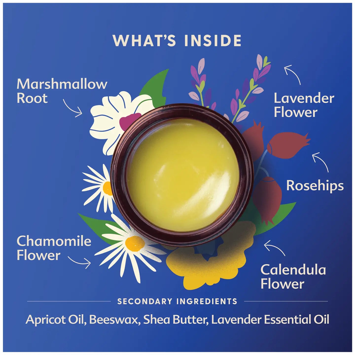 Pregnant Belly Salve 4 oz