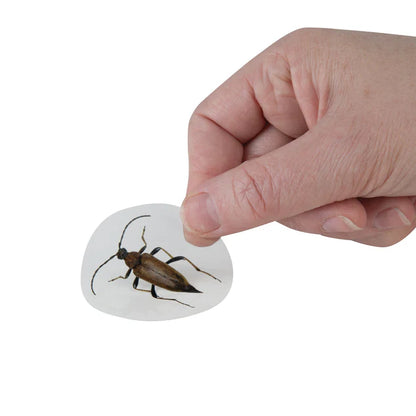 Orb™ Prank Pack Blind Bags Asst