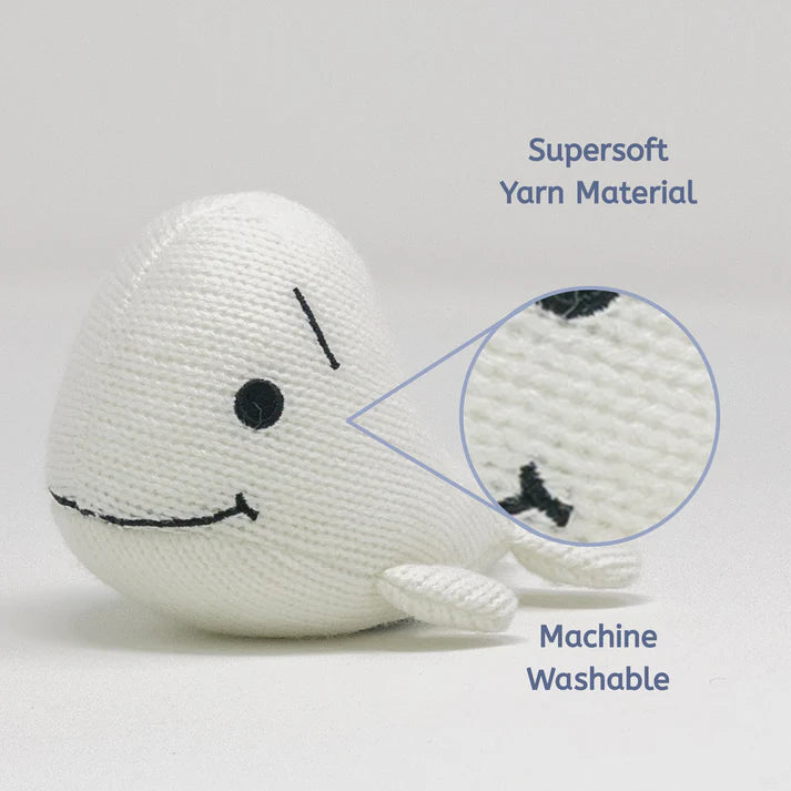Raffi: Baby Beluga