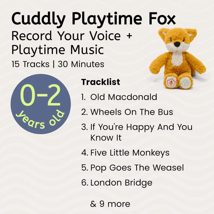 Cuddly Playtime Fox