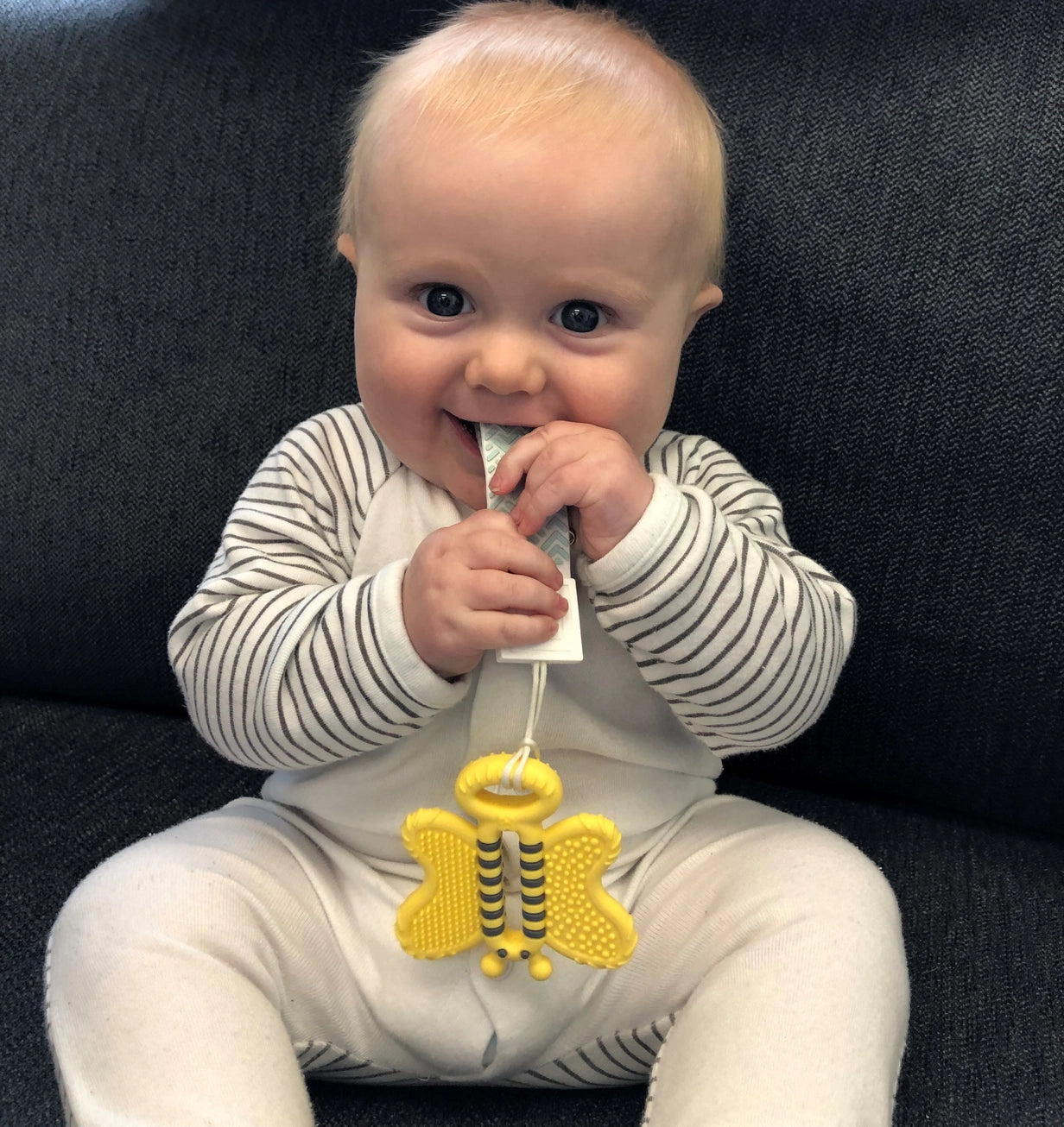 Tooth Brush Teether - Bee Brush