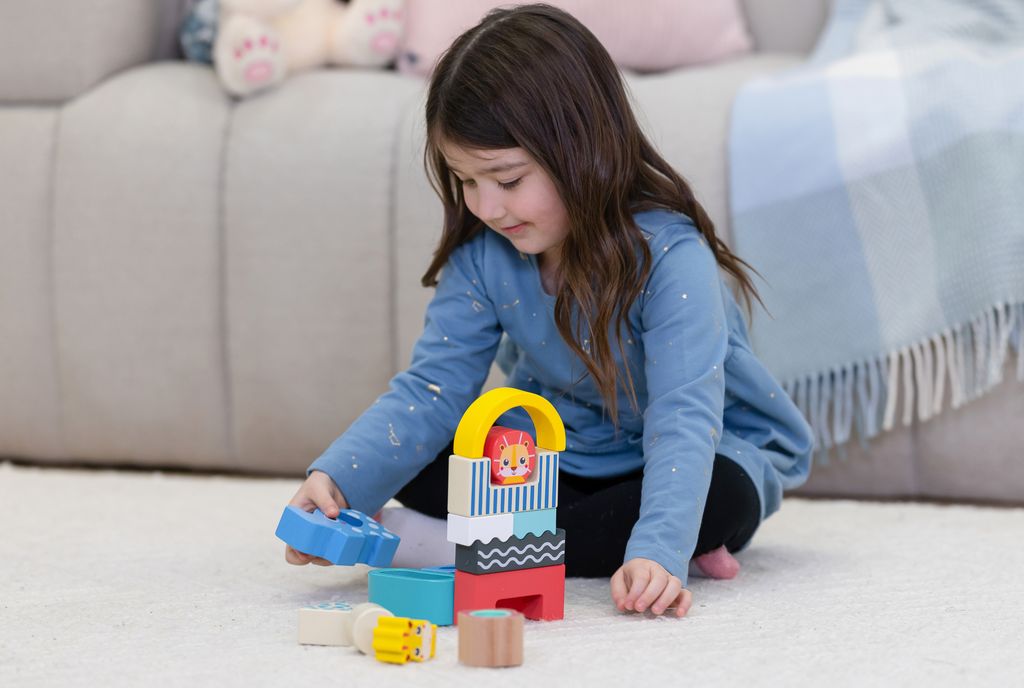 Wooden Shape & Animal Blocks