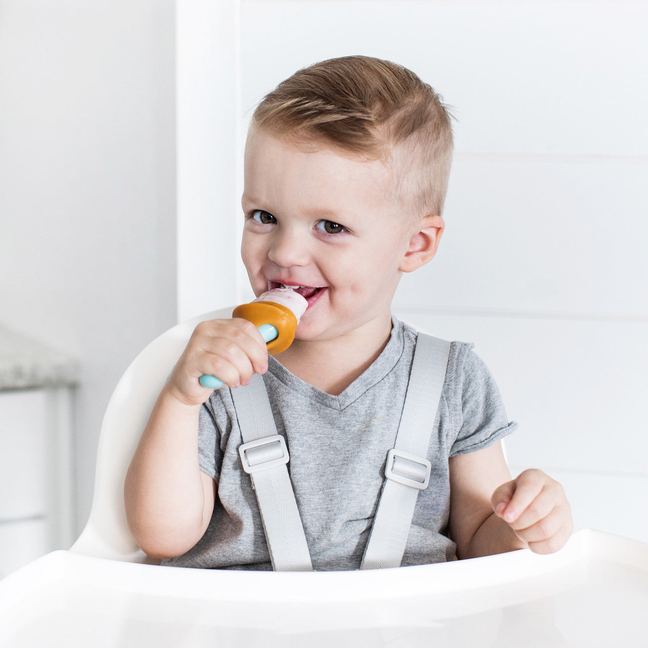 PULP Popsicle & Freezer Tray