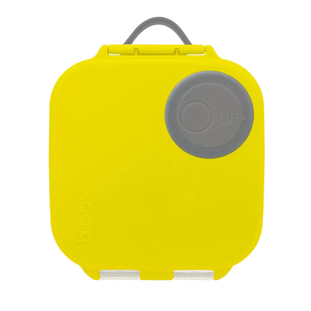 mini lunchbox