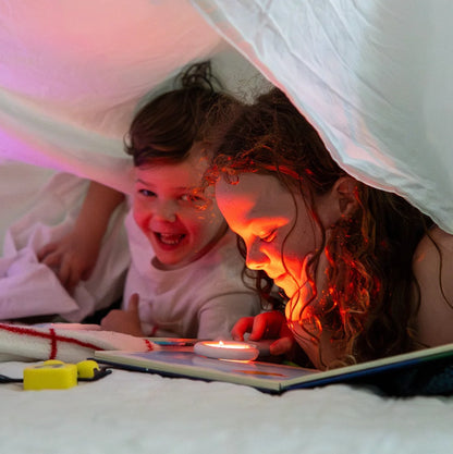 Light-Up Library - Pippa's Prehistoric Pals
