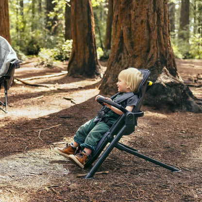 Veer &Chill Frame for Switchback Seat