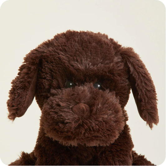 Warmies Large - Chocolate Lab