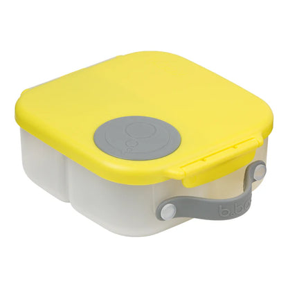 mini lunchbox