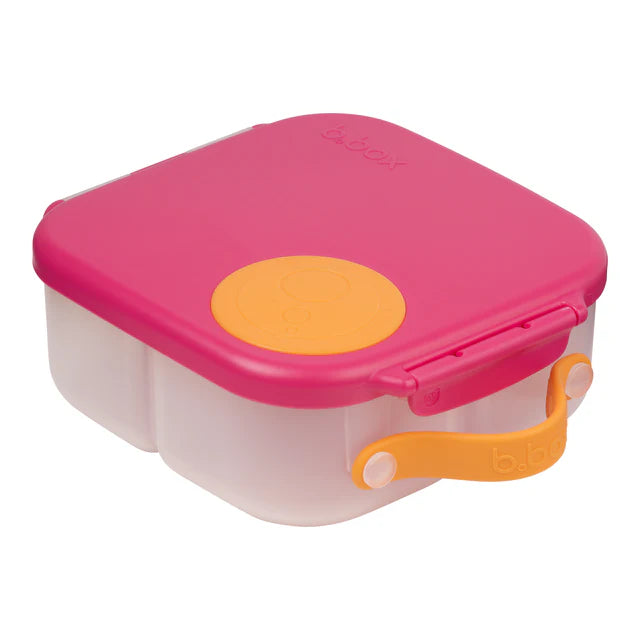 mini lunchbox
