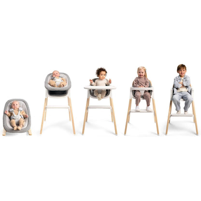 Nuna BRYN Newborn Rocker