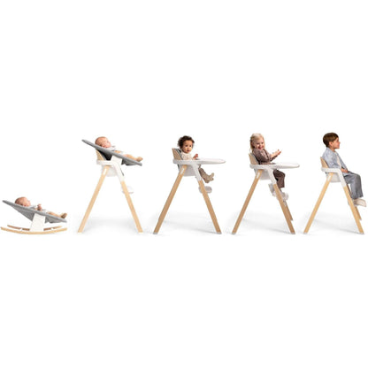 Nuna BRYN High Chair + Newborn Rocker Seat