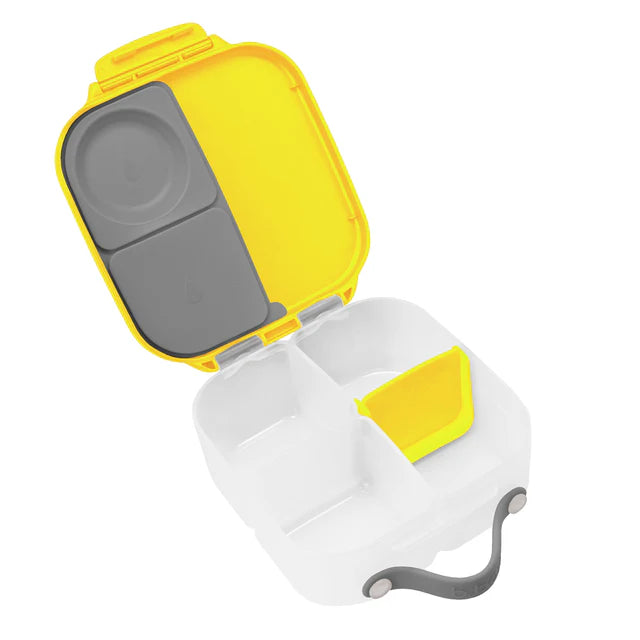 mini lunchbox