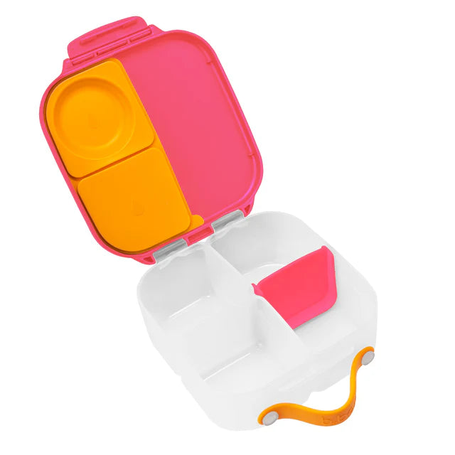 mini lunchbox