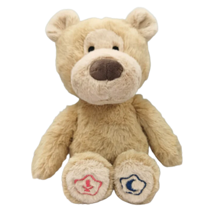 Snuggly Sounds Bear