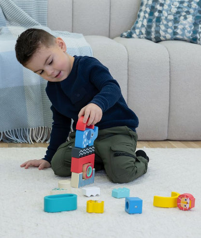 Wooden Shape & Animal Blocks