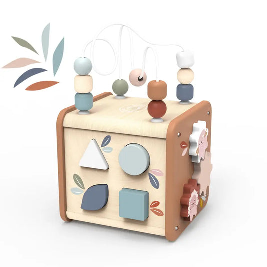 5 in 1 Activity Cube