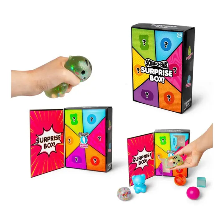 Scrunchems Surprise Box