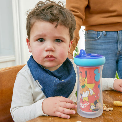 Disney Mickey Mouse Insulated Sippy Cup, 9 Oz — 2 Pack