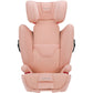 Nuna AACE Fire-Retardant Free Booster Seat