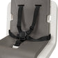 Nuna ZAAZ High Chair